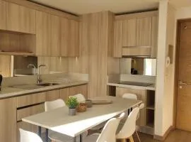 Departamento nuevo en centro de Temuco