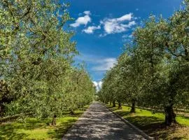 橡木贝尔维蒂利里莱丝酒店