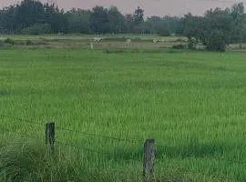 Scarlett Near Mount Zion