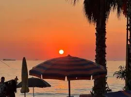 Muli 1 Bedroom Apartment