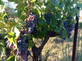 Domaine Tombarel