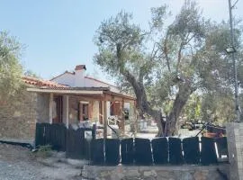 Lithos Estate Plomari