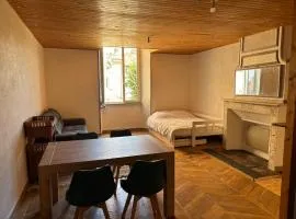 Historic center apartment
