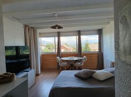 la marmotte du chalet numéro 2，位于Laye的酒店