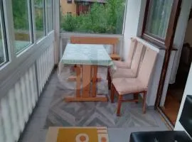 Bastion House with a bih garden