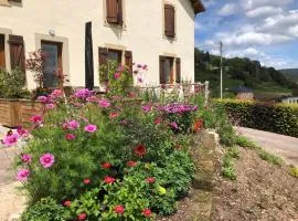 Maison rénovée près des Hautes Vosges, idéale pour activités nature - FR-1-589-696