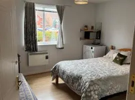 Spacious Tidy Room