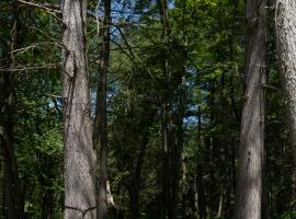 Narrowsburg Modern Chalet with Pond Fire Pit，位于Narrowsburg的酒店