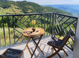 SKY VIEW Apartment - Ski resort Kopaonik，位于Cajetina的酒店
