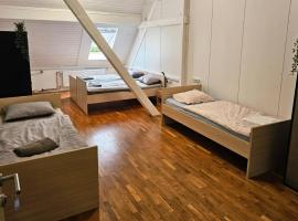 Hostel pod gradom，位于采列的青旅