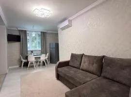 Apartament Privat Botanica