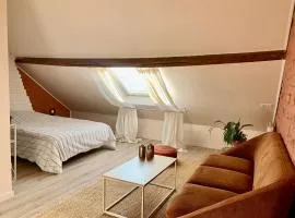 Chaleureuse et spacieuse chambre, sdb privative
