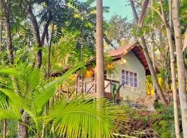 Morada João de Barro - Casinha