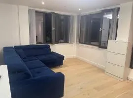 Spacious Flat for Professional