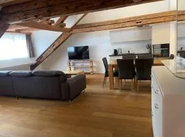 Penthouse Zürich City