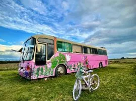 Bus Casa en observatorio de aves