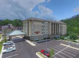 汉普顿加特林堡历史自然路径酒店