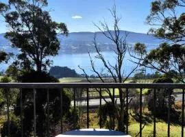 Tamar Tonic - Lush River Views