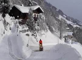 Apartment in Stuhlfelden near Ski Lift