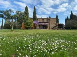 Espectacular casa de vacaciones en el campo con piscina, BBQ y WIFI de alta velocidad - 15 personas
