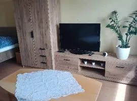 Apartmán V Sídlišti Rousínov