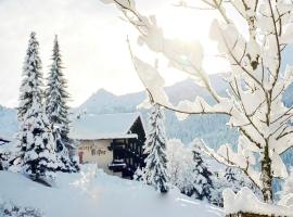 普法伊费尔酒店，位于加舒恩的酒店