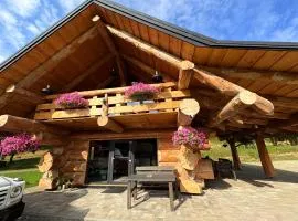 Chaty u Ramzesa nowe domy z bala