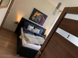 Centrum Vendégház，位于米什科尔茨的酒店