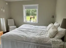 Hästgård Ekbacken Söderåsen