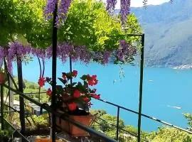 Il Glicine sul Lago