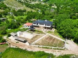 Vila Dr Bizhga Agroturizem