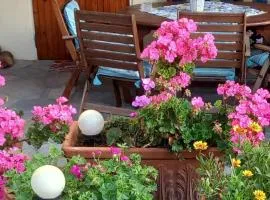 Στουντιο στο Πανοραμα