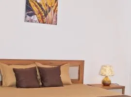 3 Bed Room Villa near Colombo