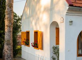 D9 Cottage，位于Csesznek的酒店