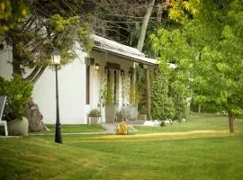 Postales by DOT Boutique