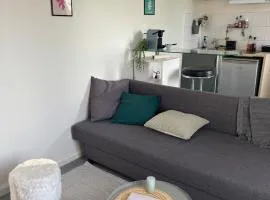 Studio le Chesnay proche Versailles