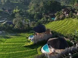 Nivriti Bali