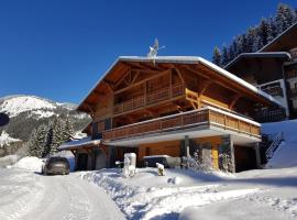 Chalet Clemalou 14-15 Personnes，位于沙泰勒的酒店