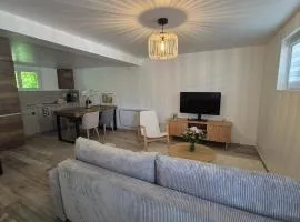 Studio calme indépendant, proche Lyon,Beaujolais