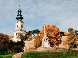 WILSON PREMIUM suites