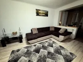 Mountain View Muscel Apartment