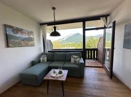 Steinbock Apartement