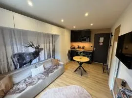 Studio le Grand Cerf