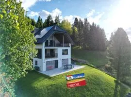 Chalet Lungau-View - Ferienhaus mit Aussicht