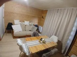 Le corbier apart 6 pers , 1er etage vue pistes