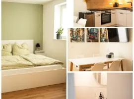 Zentrale Ferienwohnung am Park
