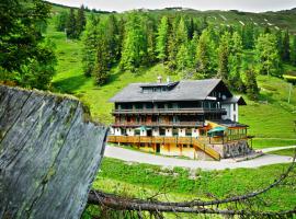 Hotel Alpen Arnika，位于Tauplitzalm雪崩石缆车附近的酒店