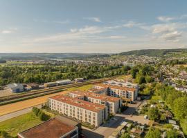 LMS - La Maison Suisse - Döttingen，位于Döttingen的酒店