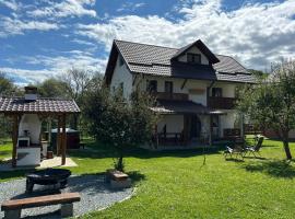 Cabana Umbra Brazilor，位于下维谢乌乡的木屋