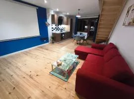 Loft Le Pop Art-Balneo-Cinéma-Clim